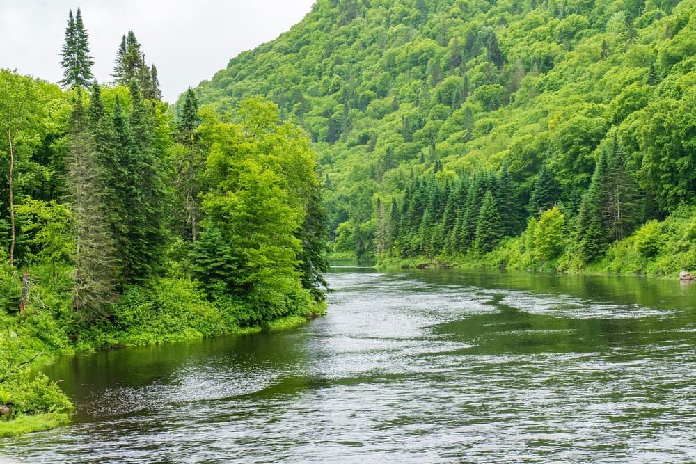 Parco nazionale della Jacques-Cartier